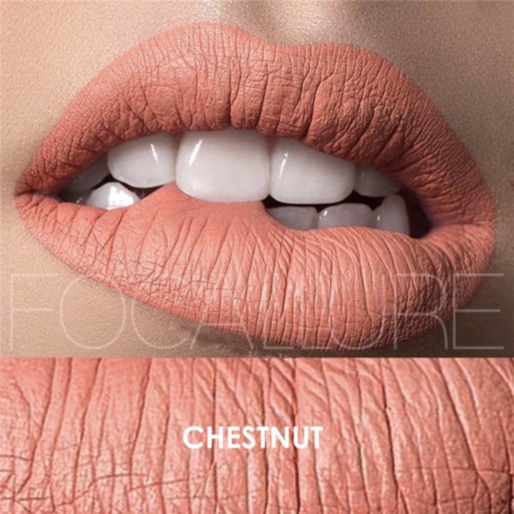 NWT‼️ Waterproof Matte Lipstick - Chestnut